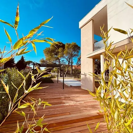 Magnifique Contemporaine Climatisee Piscine Ref Notre Dame Villa *