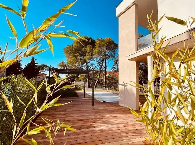 Magnifique Contemporaine Climatisee Piscine Ref Notre Dame Villa *