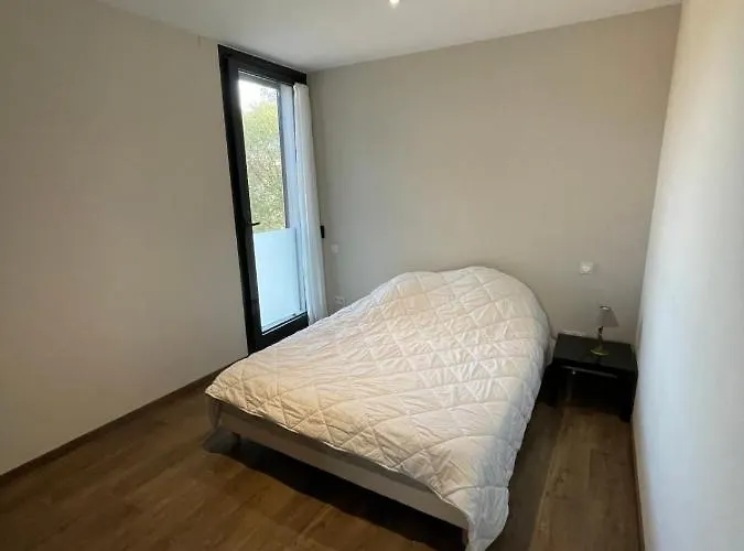 Villa Magnifique Contemporaine Climatisee Piscine Ref Notre Dame *